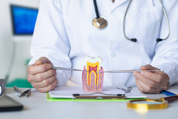 Best Emergency Orthodontic Repairs in Maan, ND